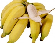 Banana Prata 4