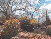 [NREGIONAL - 3]  DIARIO/NREGIONAL/1_MATERIAL ... 28/04/15