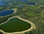 Pantanal Brasileiro 4