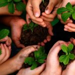 Ecologia e o Ser humano