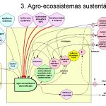 Agroecossistema Sustentável