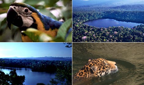 Ecossistemas da Floresta Amazônica