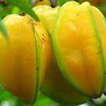 Carambola no Pé