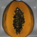 Mamão Caipira