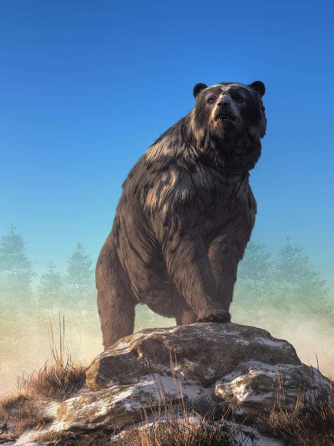 Qual o Maior Urso que já Existiu?