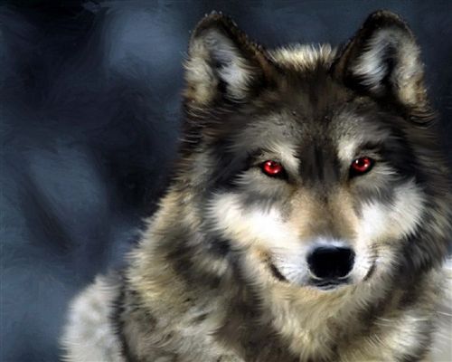 O Que Significa um Lobo Alfa? O Que Ele Representa Para o Grupo?