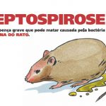 Leptospirose