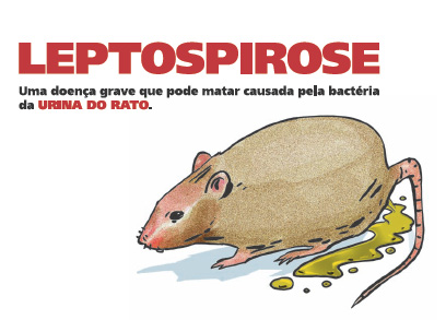 Como Saber Se Eu Estou Com Leptospirose? Quais As Sequelas?