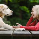Conversando com o Cachorro
