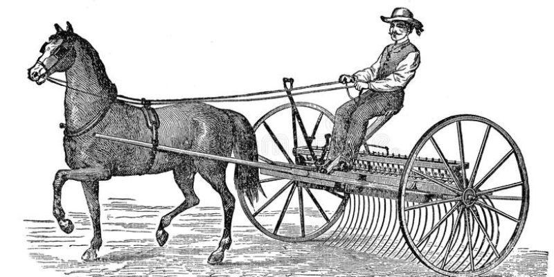 Curiosidades Sobre Cavalos Como Meio de Transporte e Carga