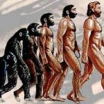 Homem Veio do Macaco