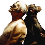 homem e macaco