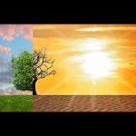 Alteração Climáticas nas Florestas