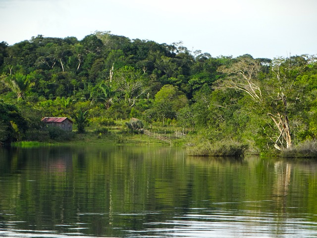 Amazônia: o Maior Bioma do Brasil — Características, Biodiversidade e Ameaças (2026)