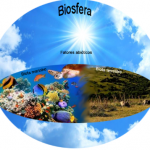 Biosfera