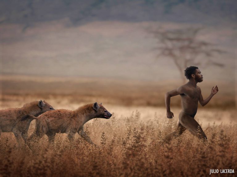 Humanos e Predadores Naturais