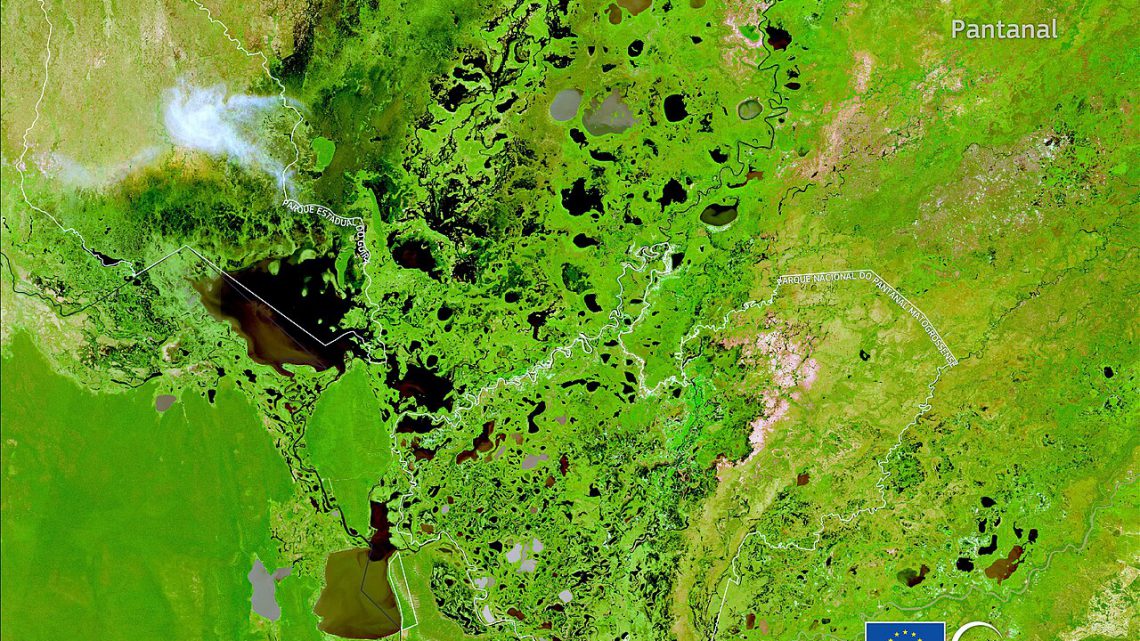 Biomas do Brasil: os 6 biomas, características e ameaças