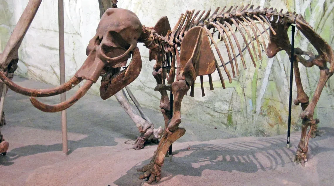 Elefante Pigmeu do Mediterrâneo: Características e Fotos
