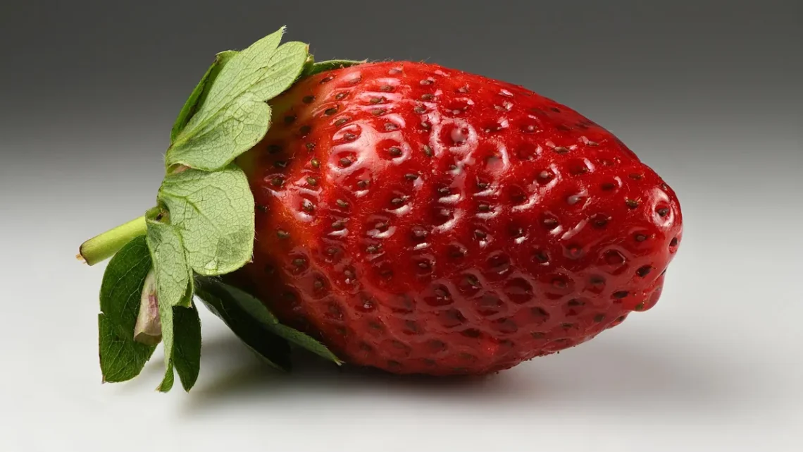 Exemplos de Frutos e Pseudofrutos